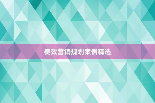 奏效营销规划案例精选