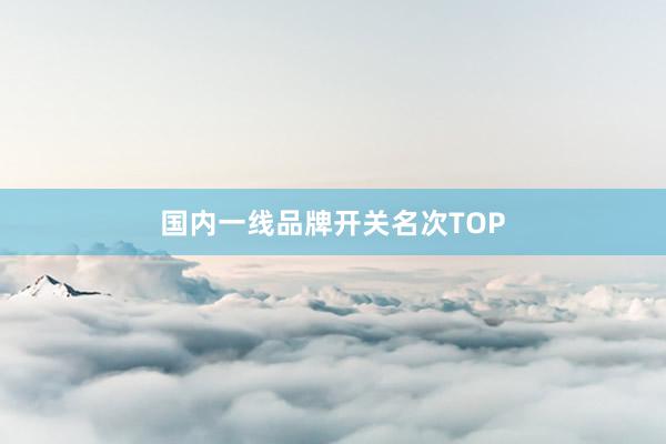 国内一线品牌开关名次TOP