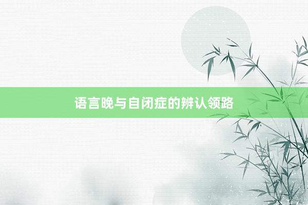 语言晚与自闭症的辨认领路