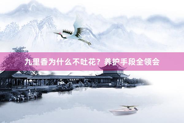 九里香为什么不吐花？养护手段全领会