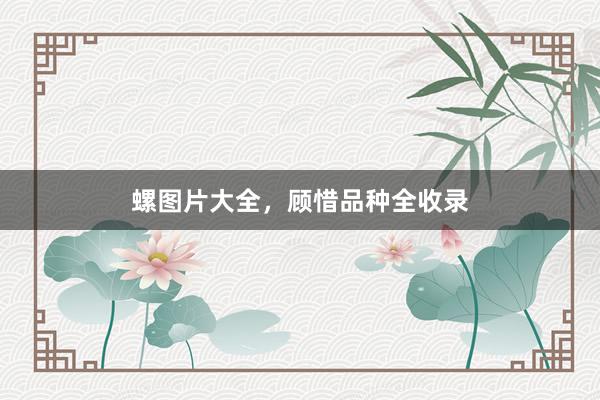 螺图片大全，顾惜品种全收录